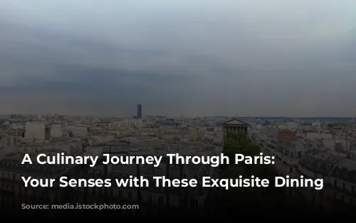 A Culinary Journey Through Paris: Indulge Your Senses with These Exquisite Dining Experiences