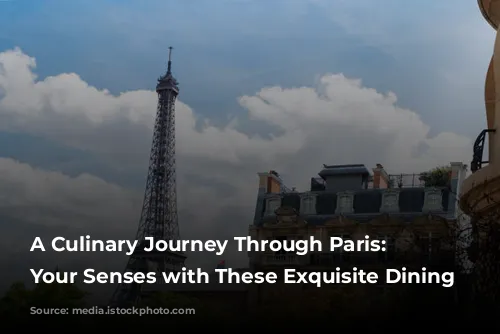 A Culinary Journey Through Paris: Indulge Your Senses with These Exquisite Dining Experiences