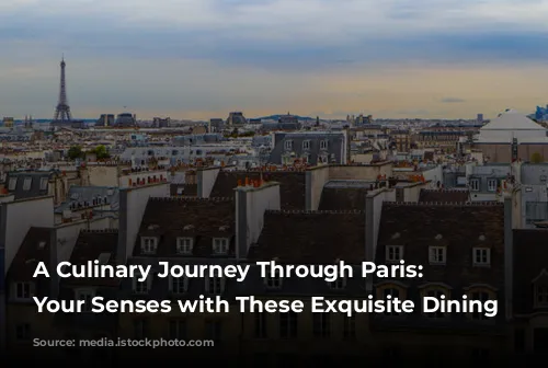 A Culinary Journey Through Paris: Indulge Your Senses with These Exquisite Dining Experiences