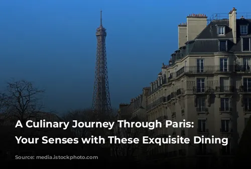 A Culinary Journey Through Paris: Indulge Your Senses with These Exquisite Dining Experiences