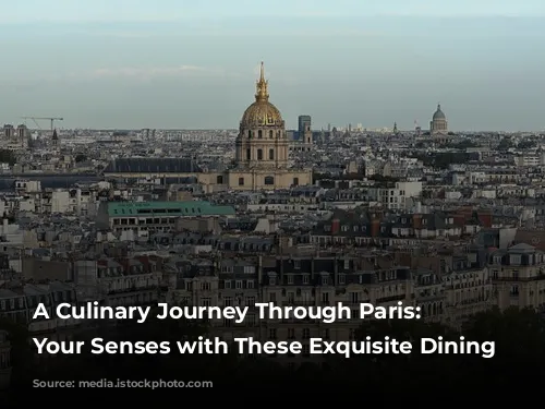 A Culinary Journey Through Paris: Indulge Your Senses with These Exquisite Dining Experiences