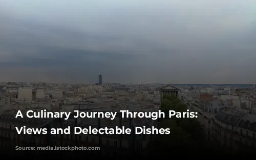 A Culinary Journey Through Paris: Michelin-Star Views and Delectable Dishes