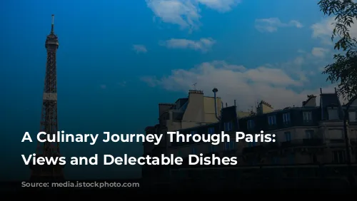 A Culinary Journey Through Paris: Michelin-Star Views and Delectable Dishes