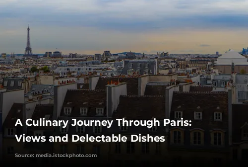 A Culinary Journey Through Paris: Michelin-Star Views and Delectable Dishes