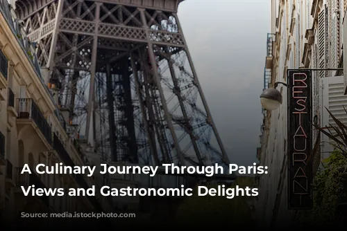 A Culinary Journey Through Paris: Michelin-Starred Views and Gastronomic Delights