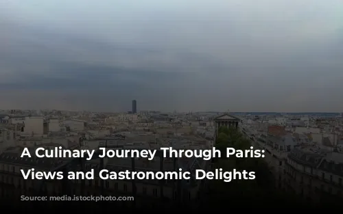 A Culinary Journey Through Paris: Michelin-Starred Views and Gastronomic Delights