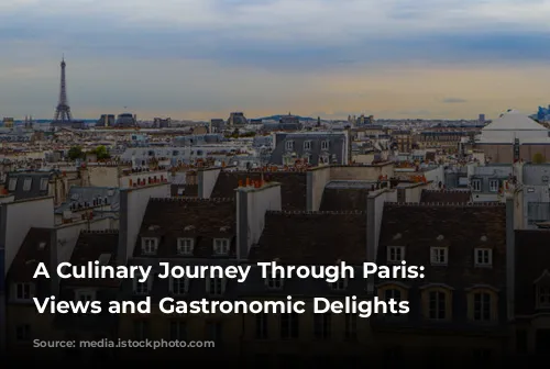 A Culinary Journey Through Paris: Michelin-Starred Views and Gastronomic Delights