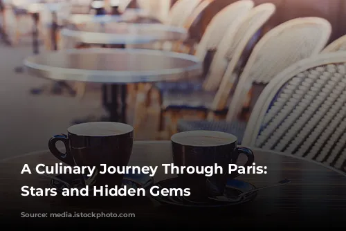 A Culinary Journey Through Paris: Michelin Stars and Hidden Gems