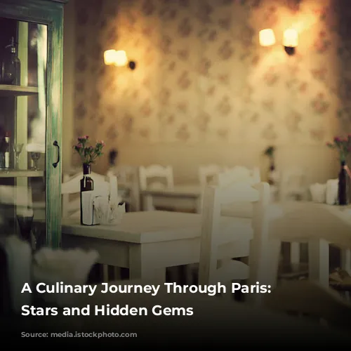 A Culinary Journey Through Paris: Michelin Stars and Hidden Gems