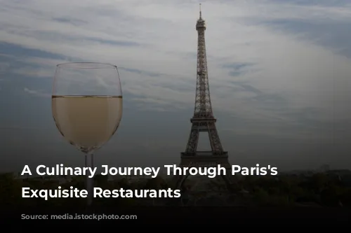 A Culinary Journey Through Paris's Most Exquisite Restaurants