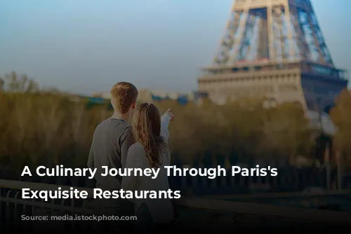 A Culinary Journey Through Paris's Most Exquisite Restaurants