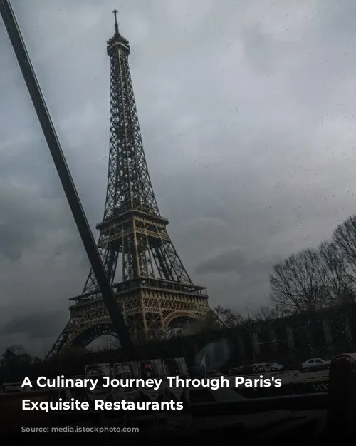 A Culinary Journey Through Paris's Most Exquisite Restaurants