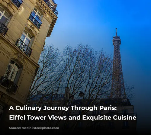 A Culinary Journey Through Paris: Unveiling Eiffel Tower Views and Exquisite Cuisine