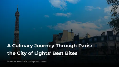 A Culinary Journey Through Paris: Unveiling the City of Lights' Best Bites