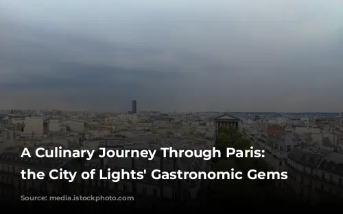 A Culinary Journey Through Paris: Unveiling the City of Lights' Gastronomic Gems