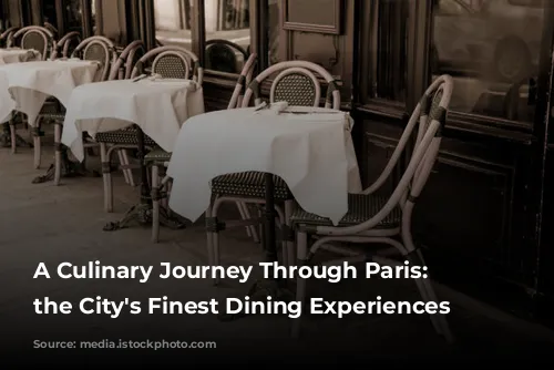 A Culinary Journey Through Paris:  Unveiling the City's Finest Dining Experiences