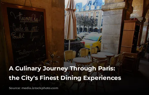 A Culinary Journey Through Paris:  Unveiling the City's Finest Dining Experiences