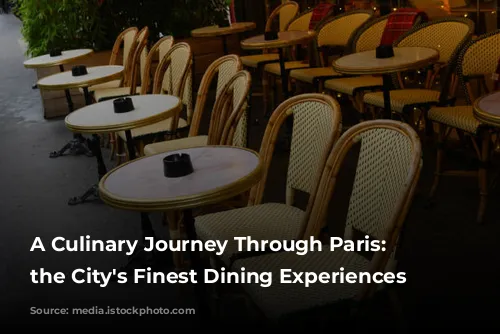 A Culinary Journey Through Paris:  Unveiling the City's Finest Dining Experiences