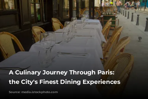 A Culinary Journey Through Paris:  Unveiling the City's Finest Dining Experiences