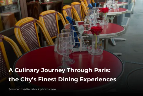 A Culinary Journey Through Paris:  Unveiling the City's Finest Dining Experiences