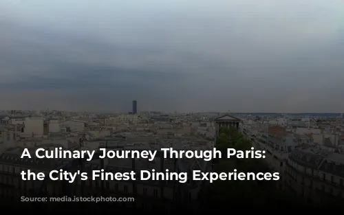 A Culinary Journey Through Paris: Unveiling the City's Finest Dining Experiences