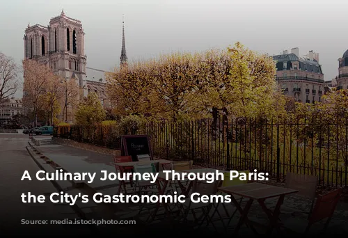 A Culinary Journey Through Paris: Unveiling the City's Gastronomic Gems