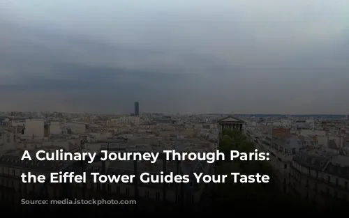 A Culinary Journey Through Paris: Where the Eiffel Tower Guides Your Taste Buds