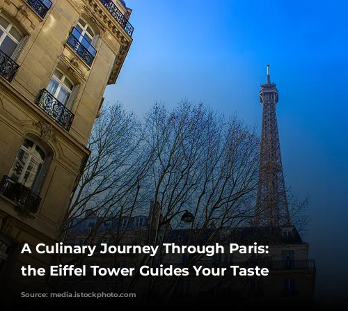 A Culinary Journey Through Paris: Where the Eiffel Tower Guides Your Taste Buds