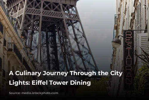 A Culinary Journey Through the City of Lights: Eiffel Tower Dining