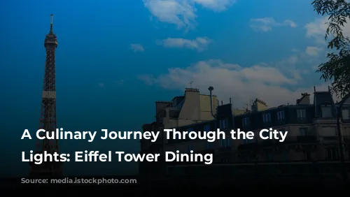 A Culinary Journey Through the City of Lights: Eiffel Tower Dining