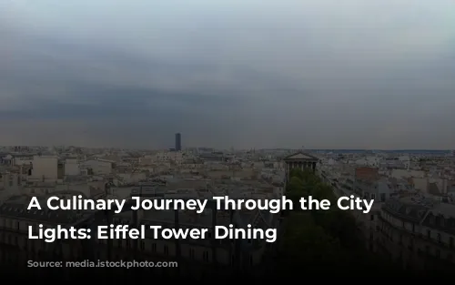 A Culinary Journey Through the City of Lights: Eiffel Tower Dining