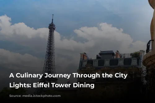 A Culinary Journey Through the City of Lights: Eiffel Tower Dining