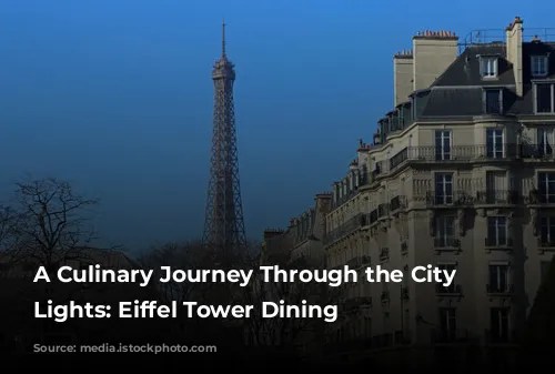 A Culinary Journey Through the City of Lights: Eiffel Tower Dining