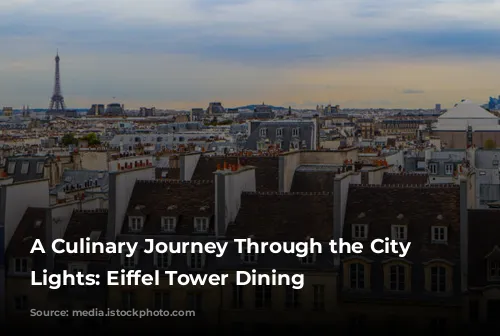 A Culinary Journey Through the City of Lights: Eiffel Tower Dining