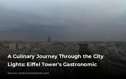 A Culinary Journey Through the City of Lights: Eiffel Tower's Gastronomic Gems