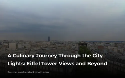 A Culinary Journey Through the City of Lights: Eiffel Tower Views and Beyond