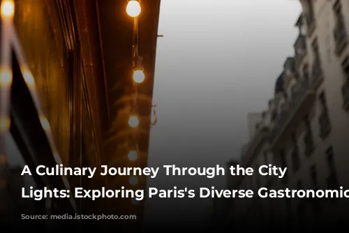 A Culinary Journey Through the City of Lights:  Exploring Paris's Diverse Gastronomic Scene