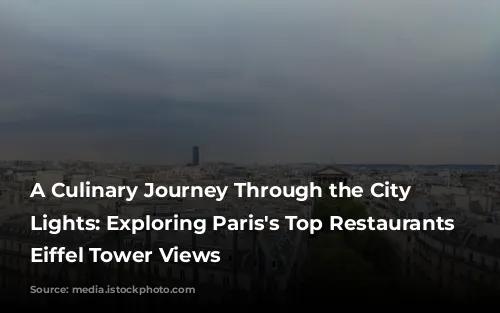 A Culinary Journey Through the City of Lights: Exploring Paris's Top Restaurants with Eiffel Tower Views