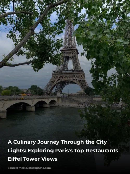 A Culinary Journey Through the City of Lights: Exploring Paris's Top Restaurants with Eiffel Tower Views