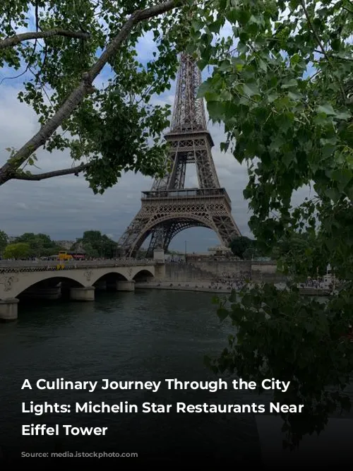 A Culinary Journey Through the City of Lights: Michelin Star Restaurants Near the Eiffel Tower