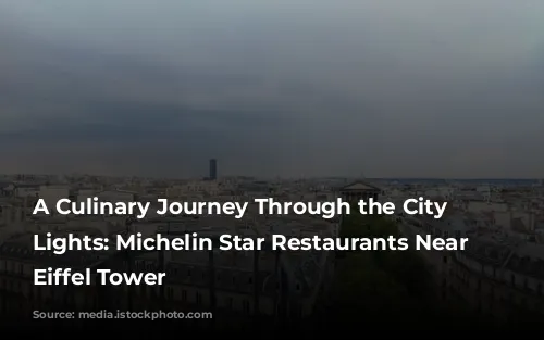 A Culinary Journey Through the City of Lights: Michelin Star Restaurants Near the Eiffel Tower