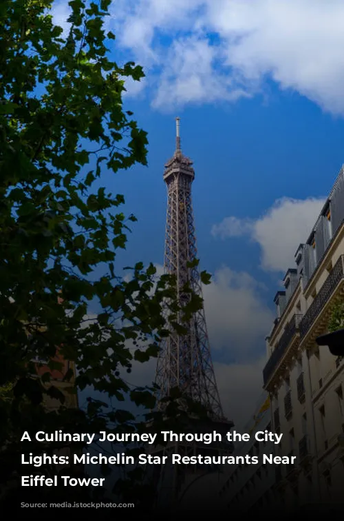 A Culinary Journey Through the City of Lights: Michelin Star Restaurants Near the Eiffel Tower