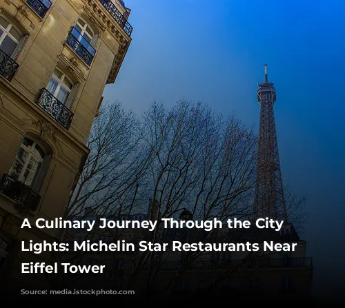 A Culinary Journey Through the City of Lights: Michelin Star Restaurants Near the Eiffel Tower