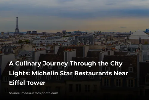 A Culinary Journey Through the City of Lights: Michelin Star Restaurants Near the Eiffel Tower