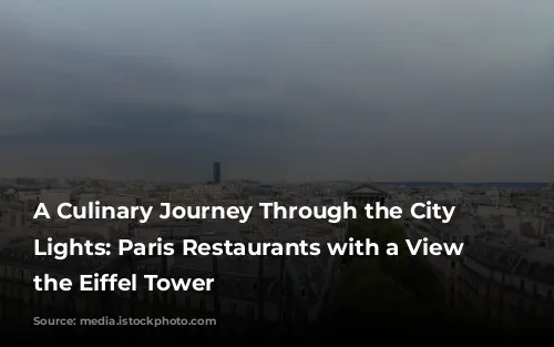 A Culinary Journey Through the City of Lights: Paris Restaurants with a View of the Eiffel Tower