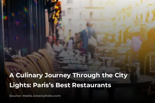 A Culinary Journey Through the City of Lights: Paris’s Best Restaurants