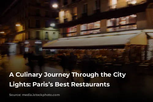 A Culinary Journey Through the City of Lights: Paris’s Best Restaurants