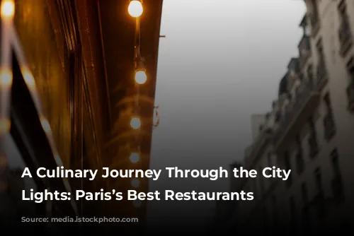 A Culinary Journey Through the City of Lights: Paris’s Best Restaurants