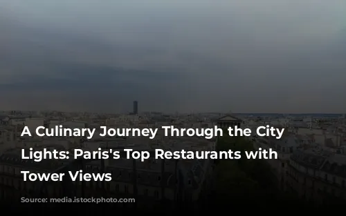 A Culinary Journey Through the City of Lights: Paris's Top Restaurants with Eiffel Tower Views