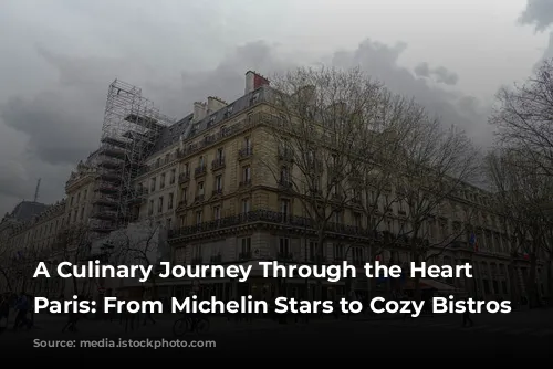 A Culinary Journey Through the Heart of Paris: From Michelin Stars to Cozy Bistros